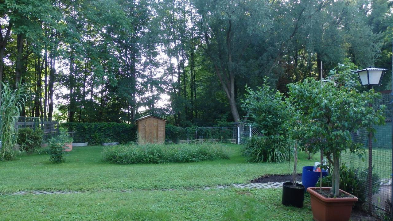 Hotel Sud Alsace Ranspach-le-Bas 외부 사진