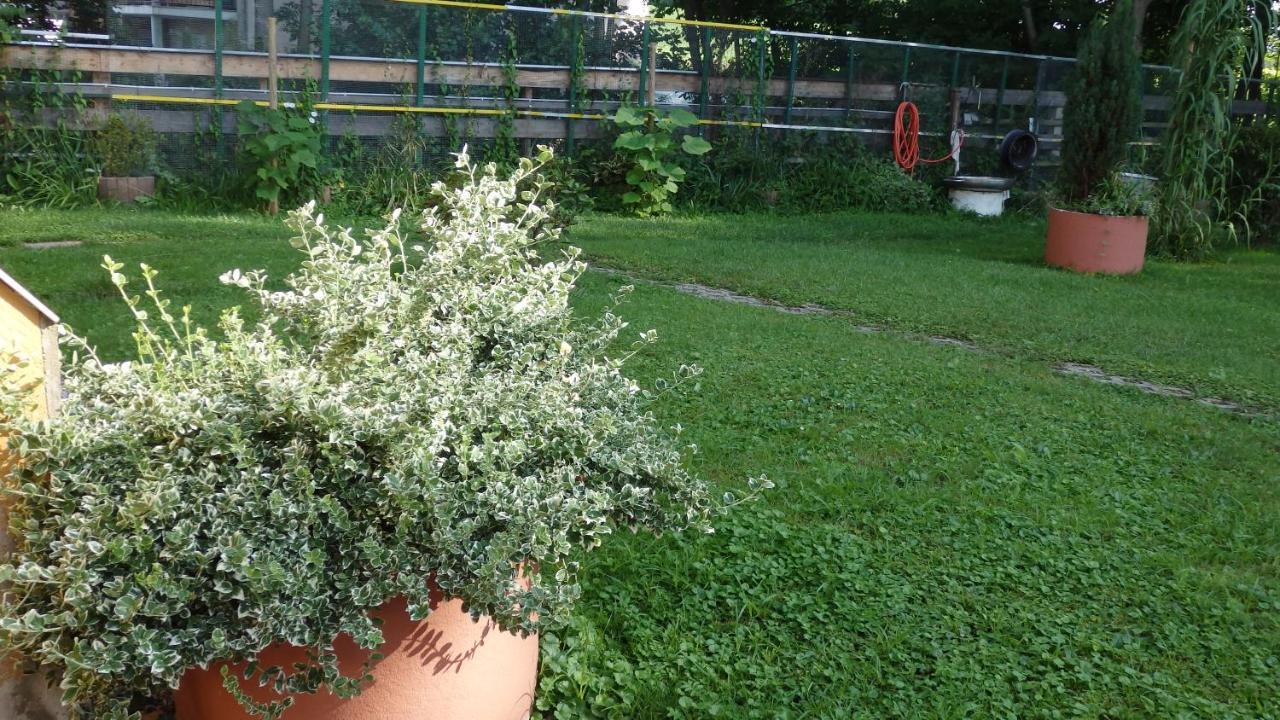 Hotel Sud Alsace Ranspach-le-Bas 외부 사진